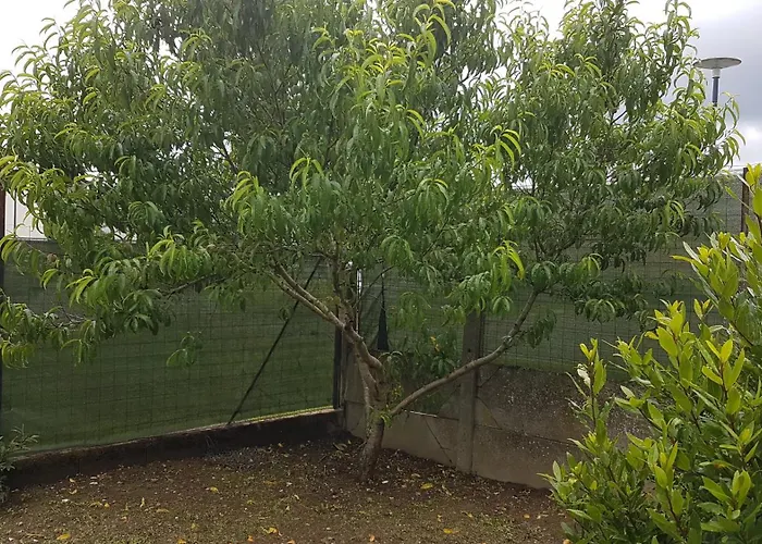 Appartamento La Choletaise