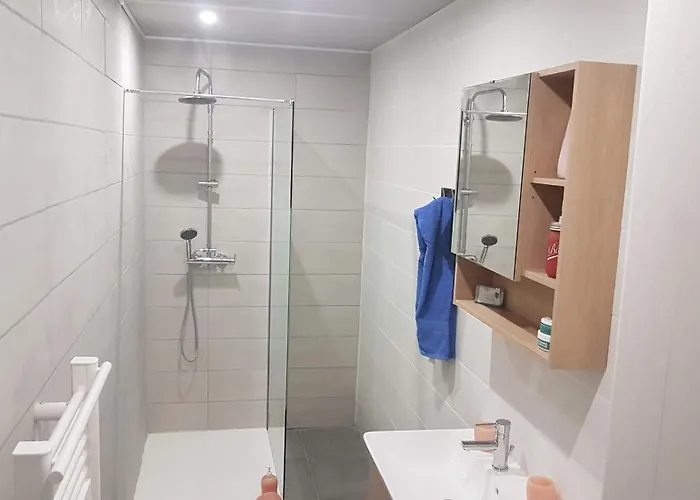 La Choletaise Apartman *